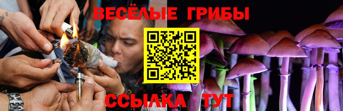Галлюциногенные грибы мицелий  Вход с VPN  Псилоцибиновые грибы Psilocybe  Асбест 